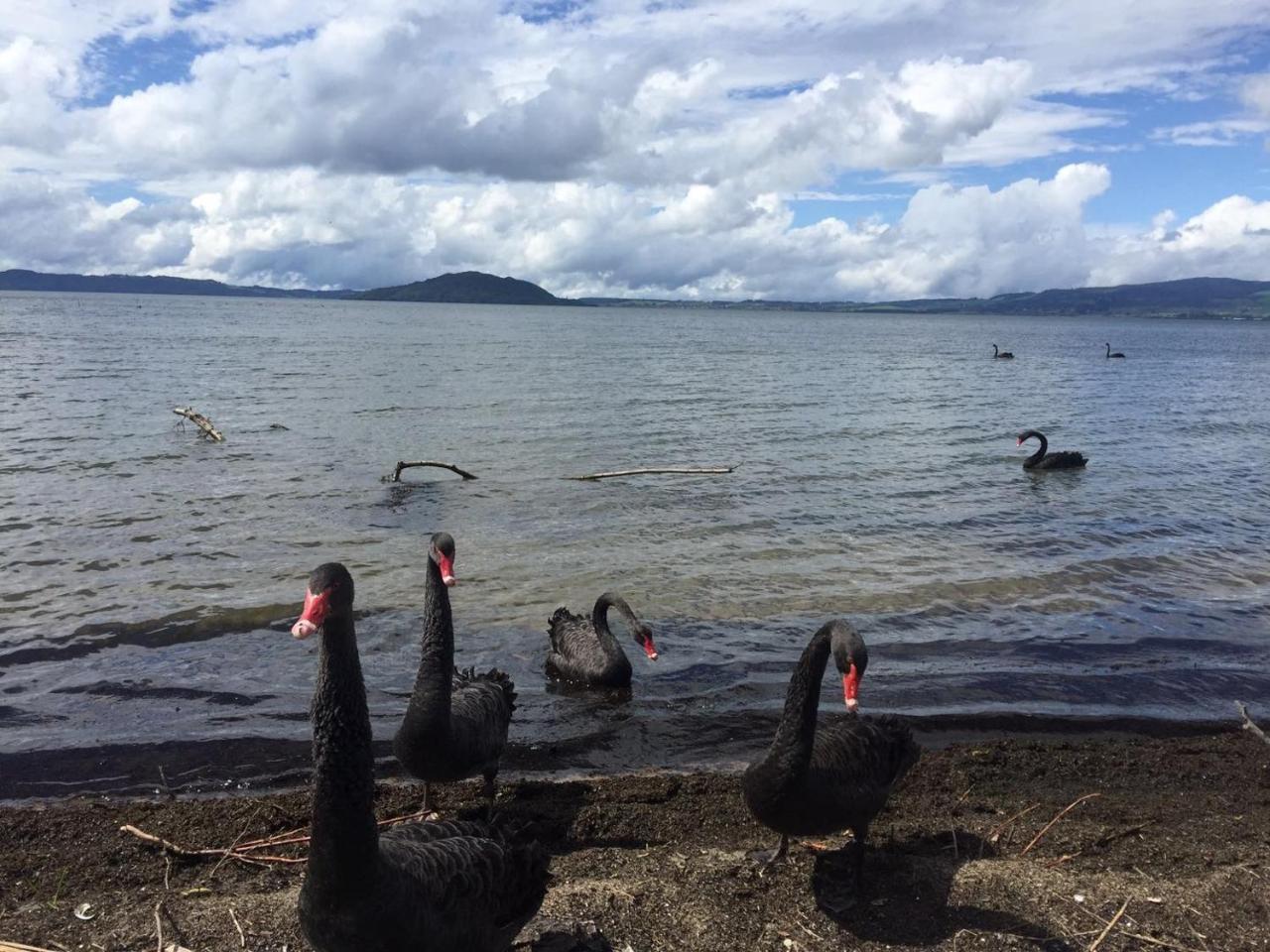 Super Lake Edge Lodge Rotorua Exterior photo